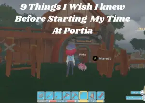 Read more about the article 9 Things I Wish I Knew Before Starting My Time at Portia