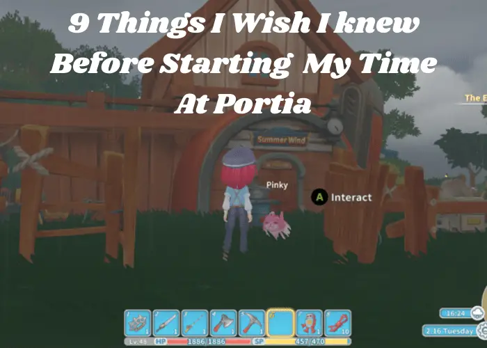 You are currently viewing 9 Things I Wish I Knew Before Starting My Time at Portia