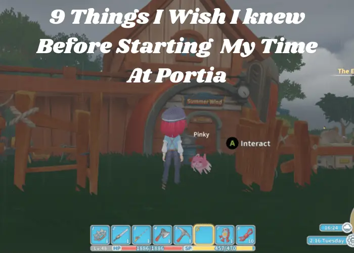 9 Things I Wish I Knew Before Starting My Time at Portia