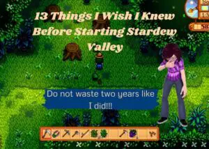 Read more about the article 13 Things I Wish I Knew About Stardew  Valley