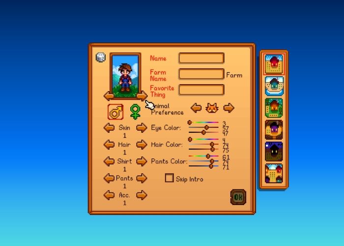 The Customization menu. A Stardew Valley game feature