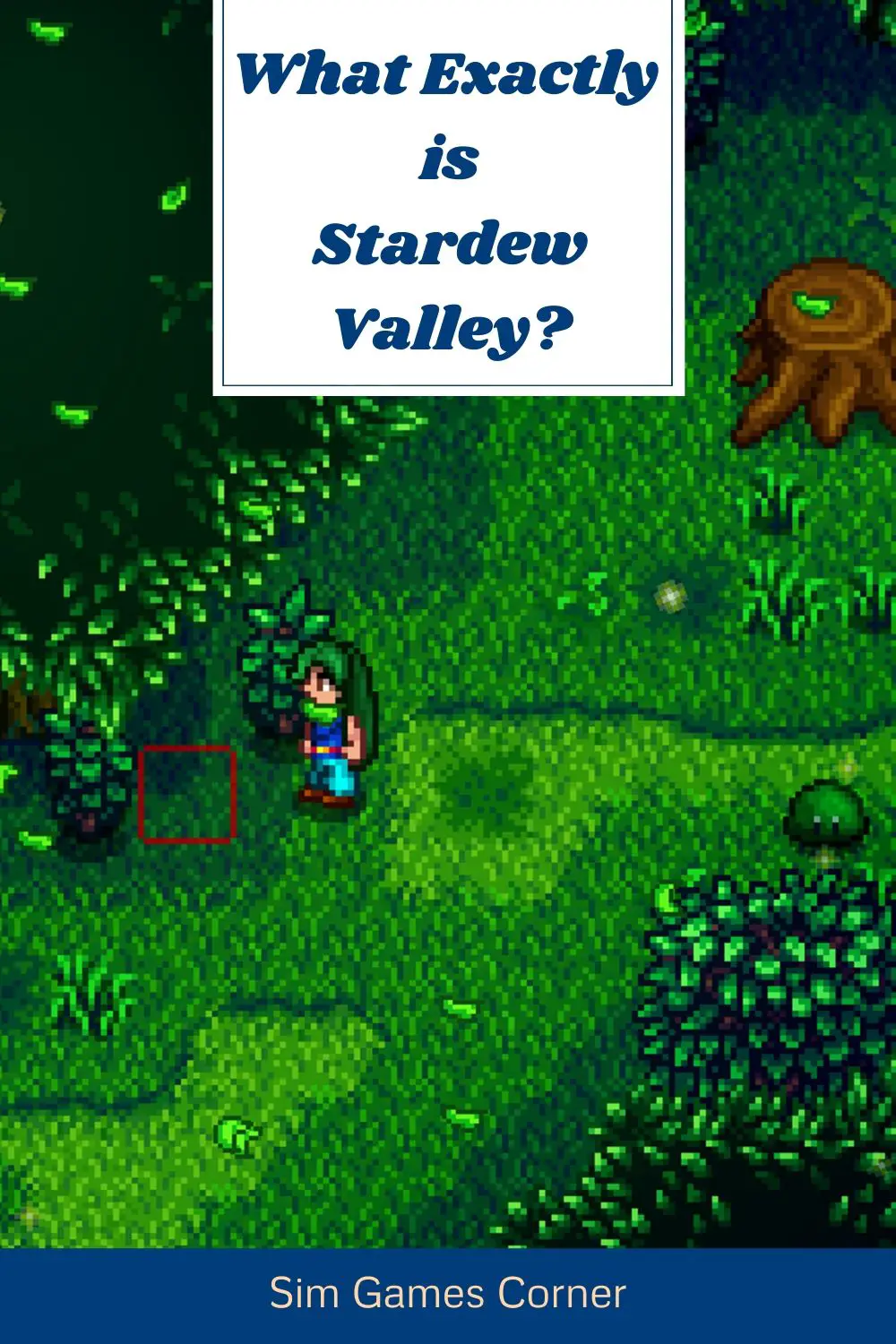 What Exactly is Stardew Valley? Pin