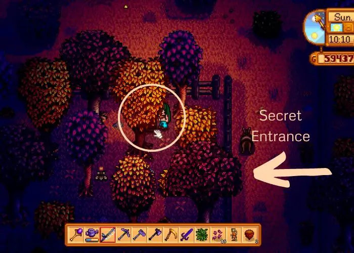 Stardew Valley Secrets You May Not Know Sim Games Corner