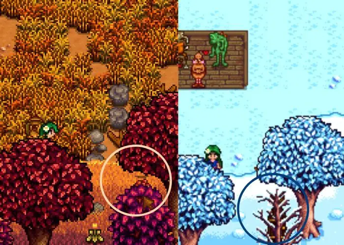 Stardew Valley Secrets: Vincent and the Winter door are circled