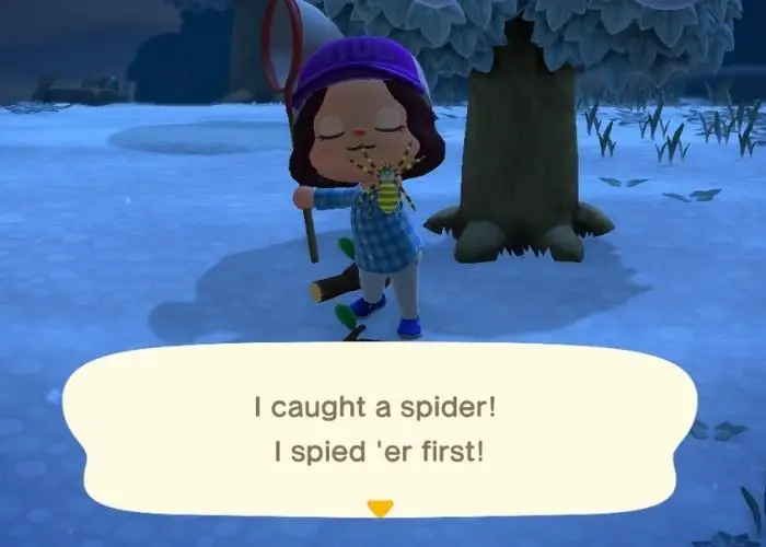 Animal Crossing New Horizons Winter: Critters - player caught a spider