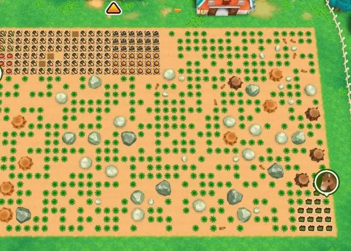 One of the things I Wish I Knew before Starting Friends of Mineral town is the farm map.