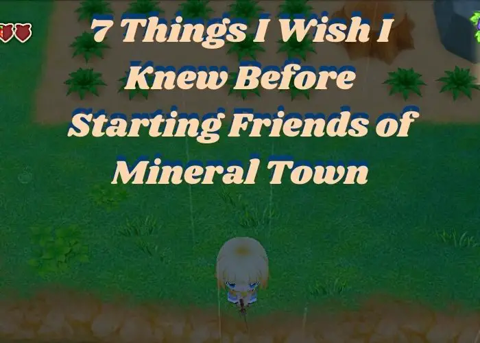 7 Things I Wish I Knew Before Starting Friends of Mineral Town