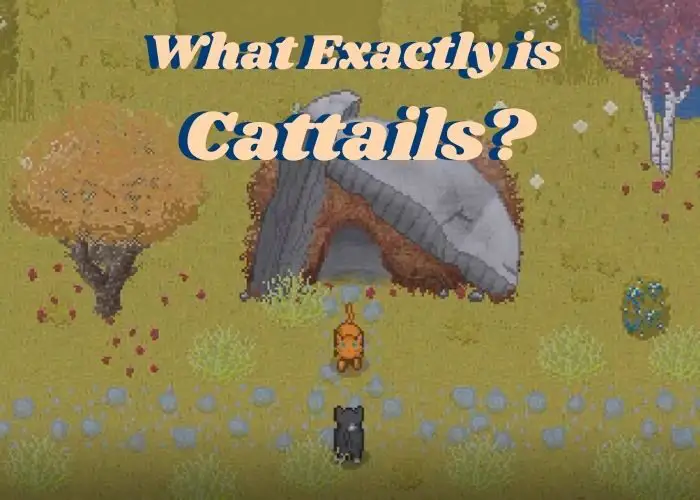 What is Cattails Title Picture