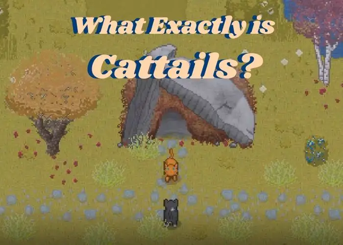 What is Cattails Title Picture